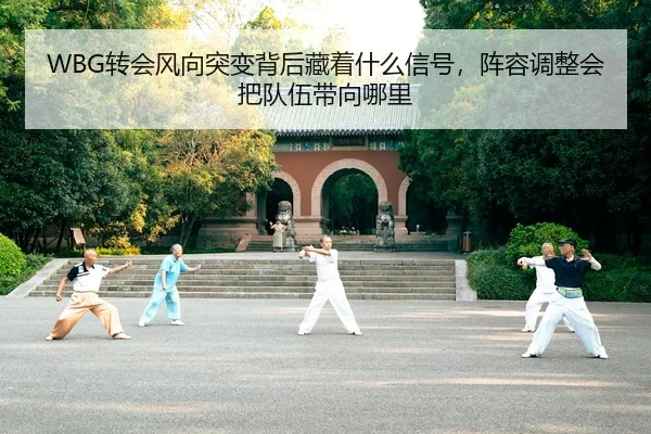 WBG转会风向突变背后藏着什么信号，阵容调整会把队伍带向哪里（kaiyun）